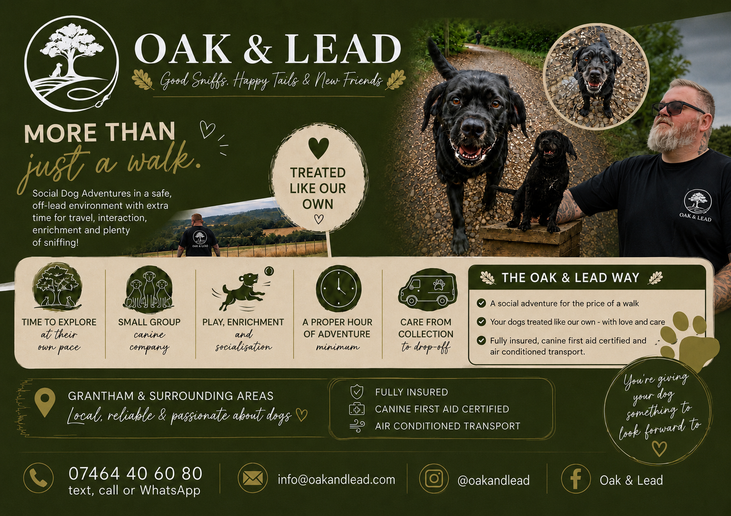 Oak and Lead dogs enjoying an adventure with Phil